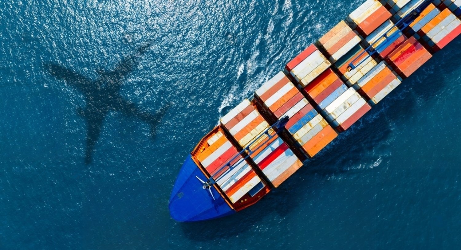 Importación y Exportación